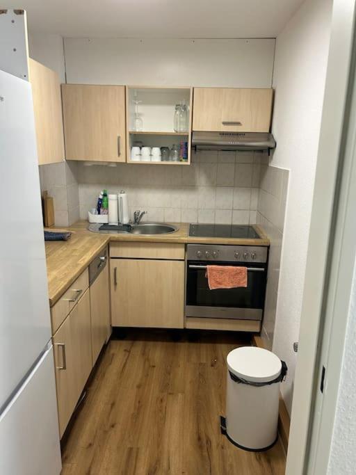 2 Zi Whng Stadtmitte Loerrach エクステリア 写真